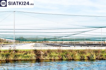 Siatki Knurów - Siatka ochronna na zbiornik z rybami, efektywne zabezpieczenie przed ptakami dla terenów Knurowa
